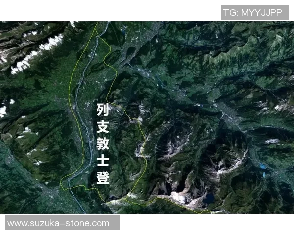 瑞士联赛积分榜最新动态分析及球队表现评估